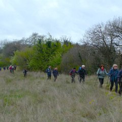 P1190769   Partecipanti 52.